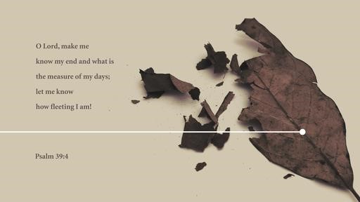 Psalm 394 [widescreen]