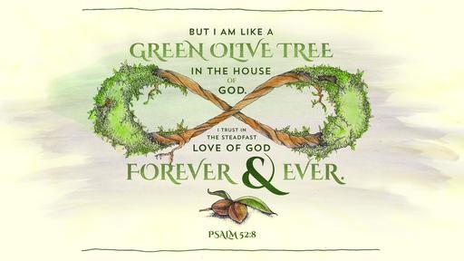 Psalm 528 [widescreen]