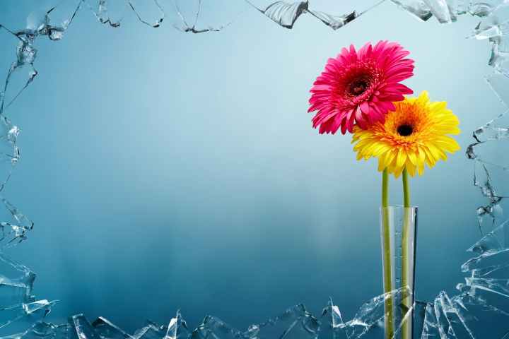 yellow and pink flowers view behind broken glass