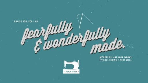 Psalm 13914 [widescreen]