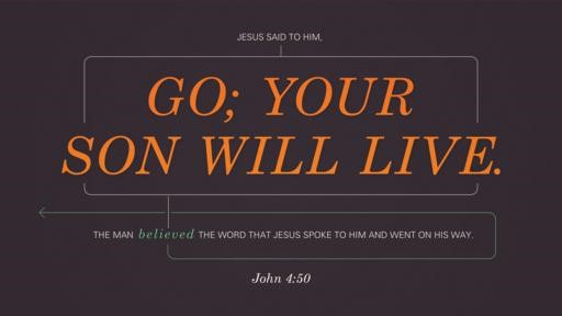 john 450 [widescreen]