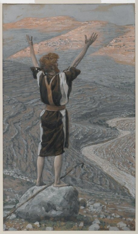 the voice in the desert