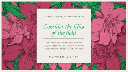 Matthew 628–29 [widescreen]