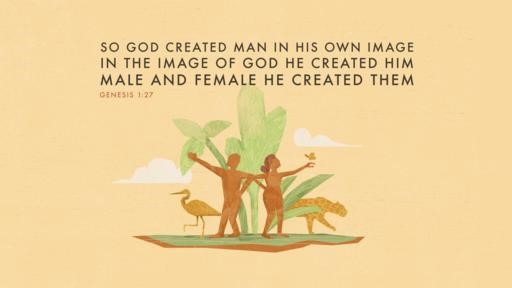 Genesis 127 [widescreen]