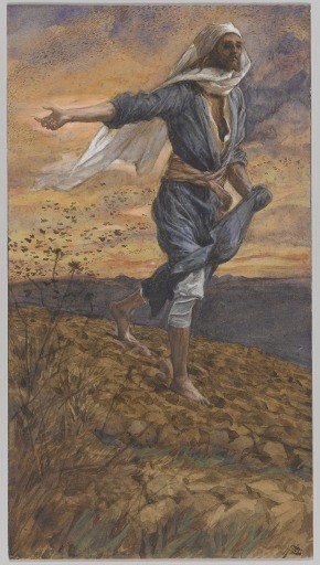 The Sower