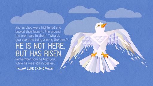 Luke 245–6 [widescreen]