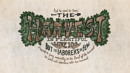 Luke 102 [widescreen]