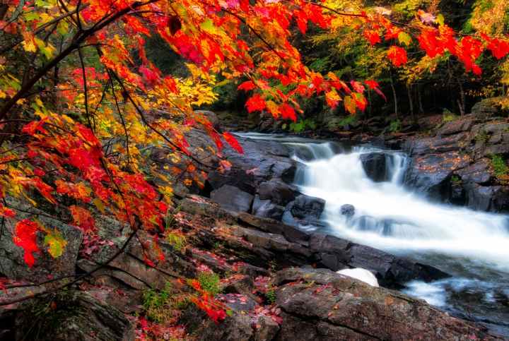 photo of waterfalls during fall season