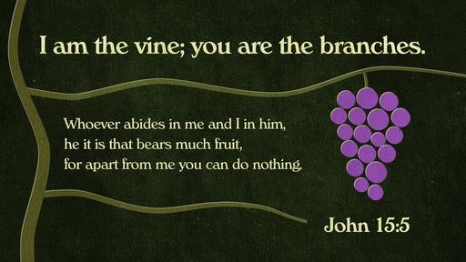 John 155 [widescreen]